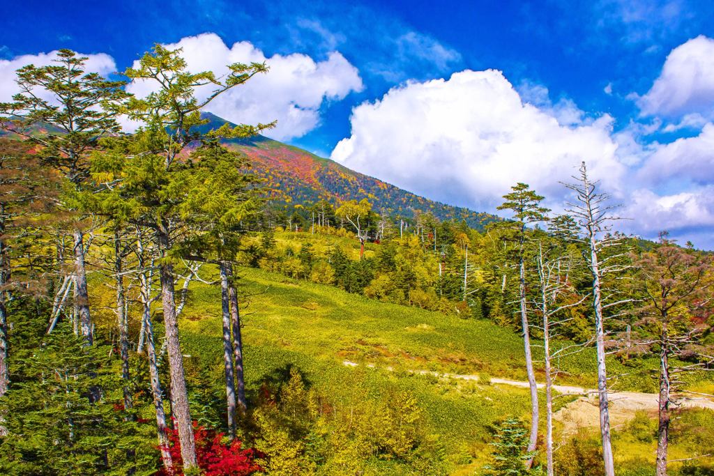 紅葉の御嶽山