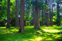 「苔寺」 白山平泉寺