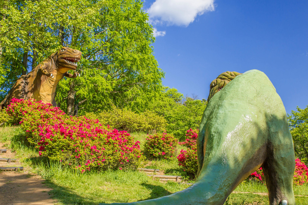 茶臼山恐竜公園