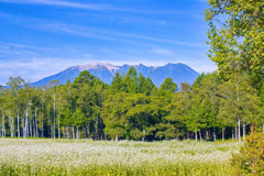 木曽馬の里の蕎麦畑