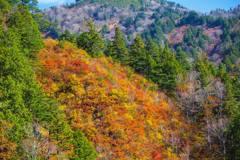 白山白川郷ホワイトロード