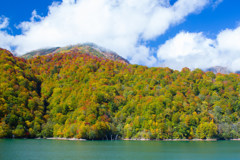 紅葉の白水湖