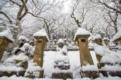 長慶寺の五百羅漢