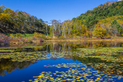 一沼の紅葉