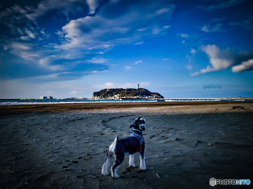 あの場所へ