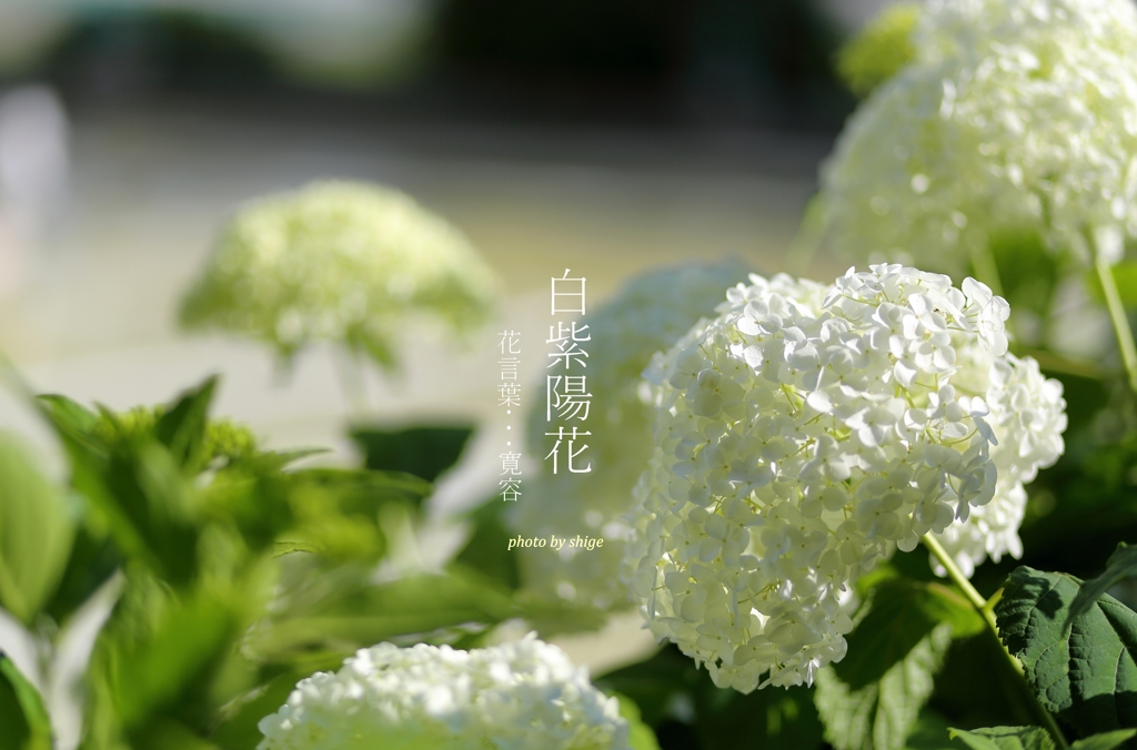あの頃の気持ちに戻って... 輝く心で...