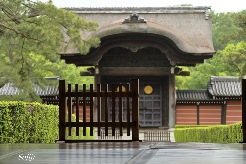 新緑の總持寺