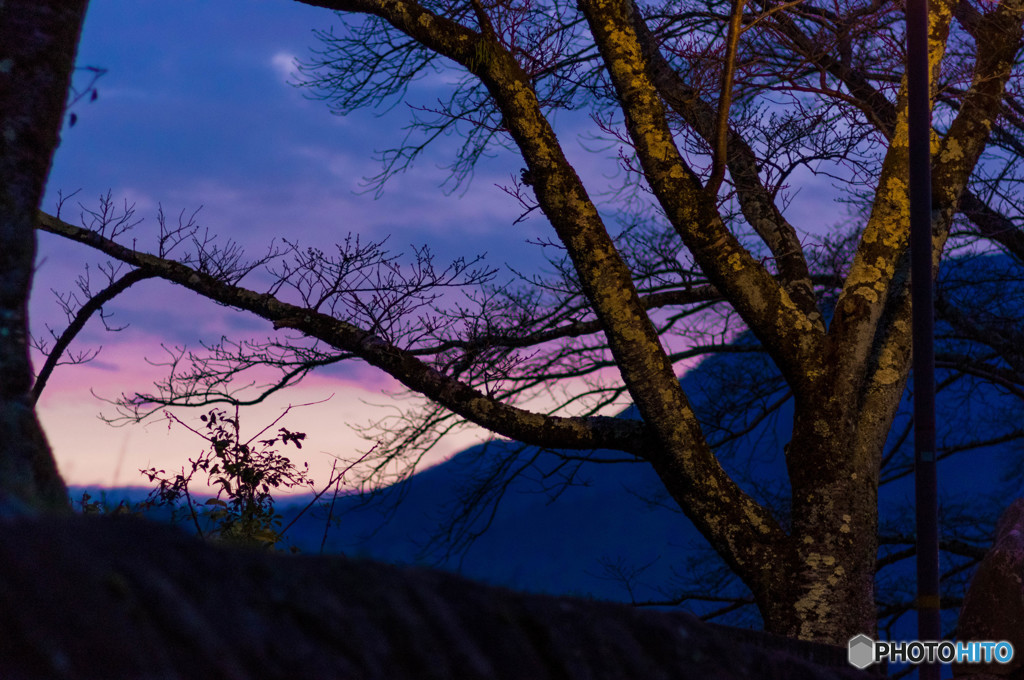 夕暮れ
