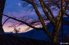 夕暮れ
