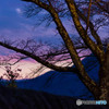 夕暮れ