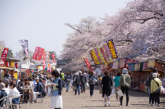 花見