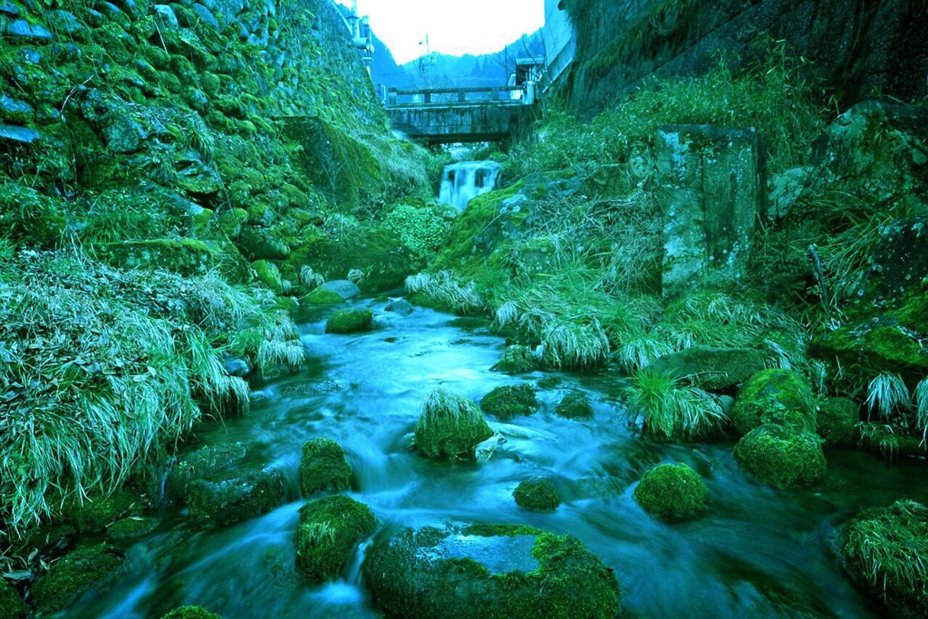 〜 翠のそよ風 〜