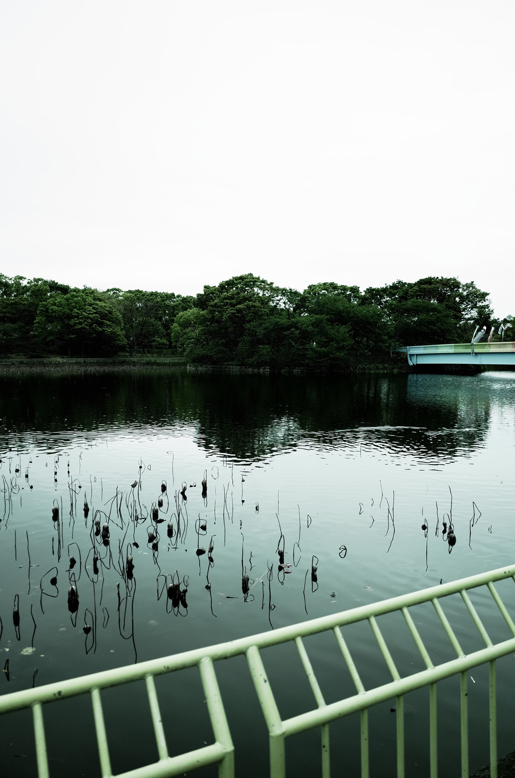 長居公園の池