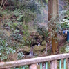 黒山三滝入口
