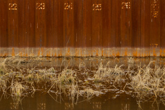 2020_0215_13400100