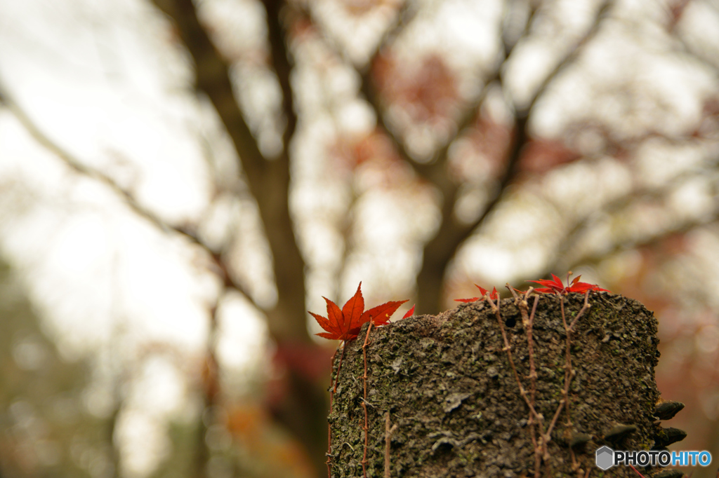 TEST１