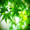 覗き見