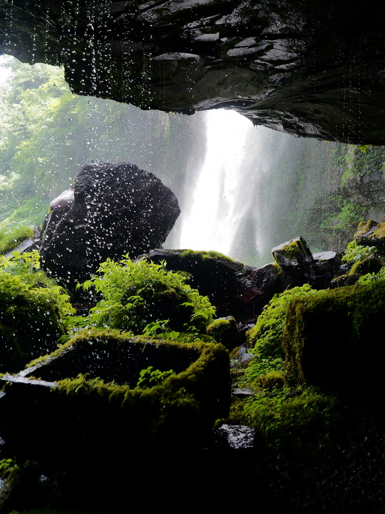 水ため