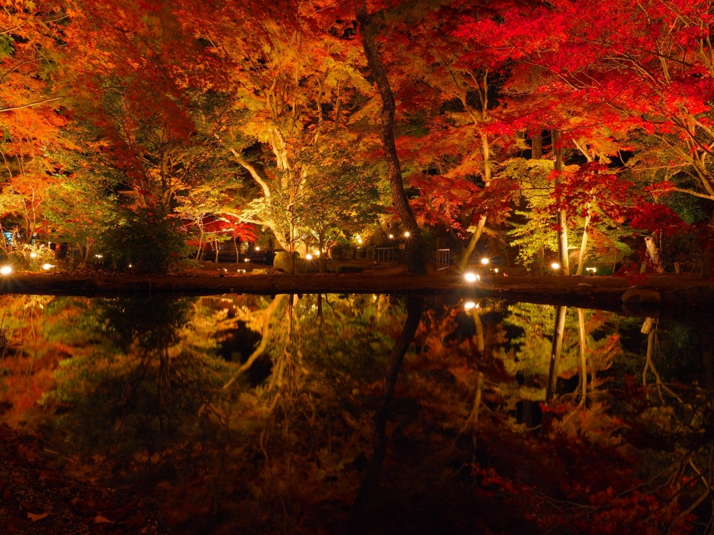 鏡面紅葉