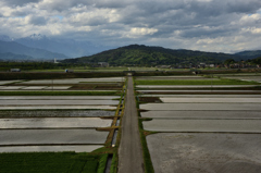 一本道