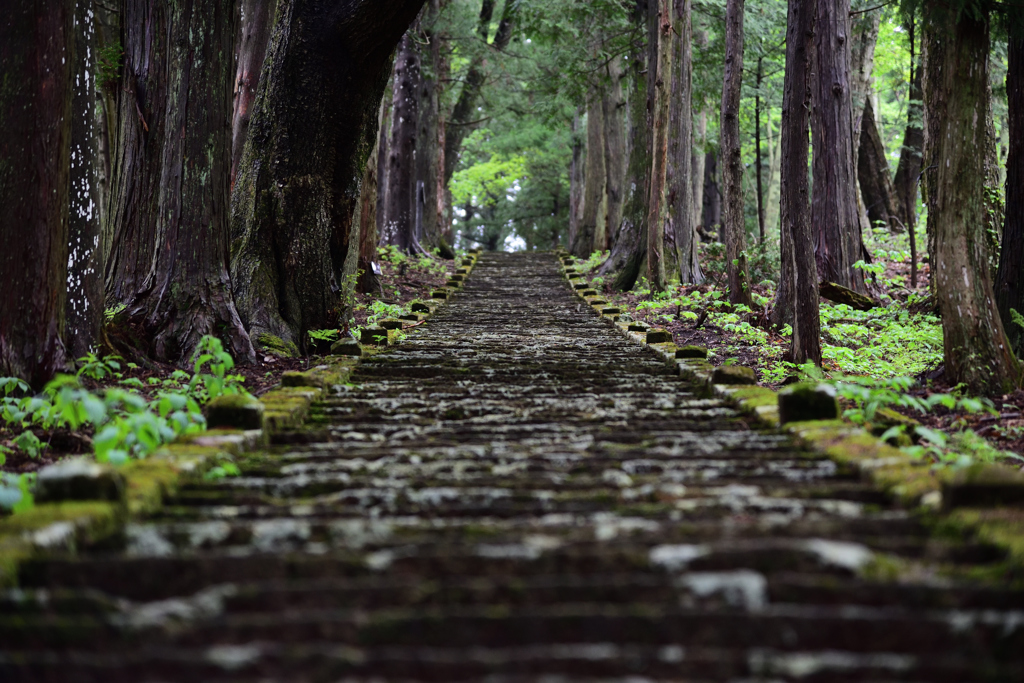 山頂へ