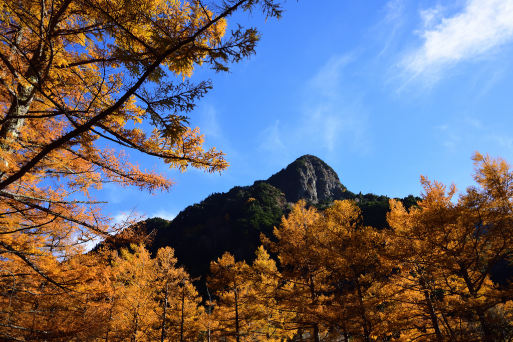 秋の森と険しい山