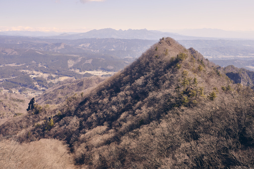穏やかな春の山