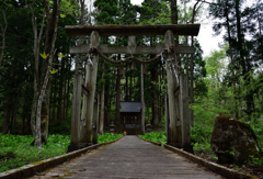 森の中の神社