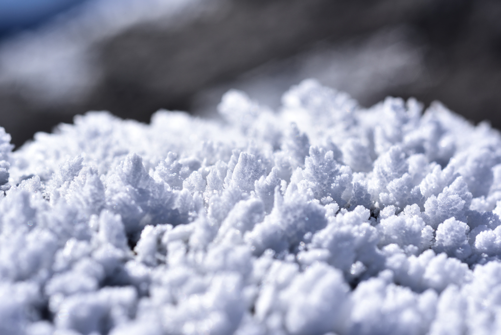 育つ雪