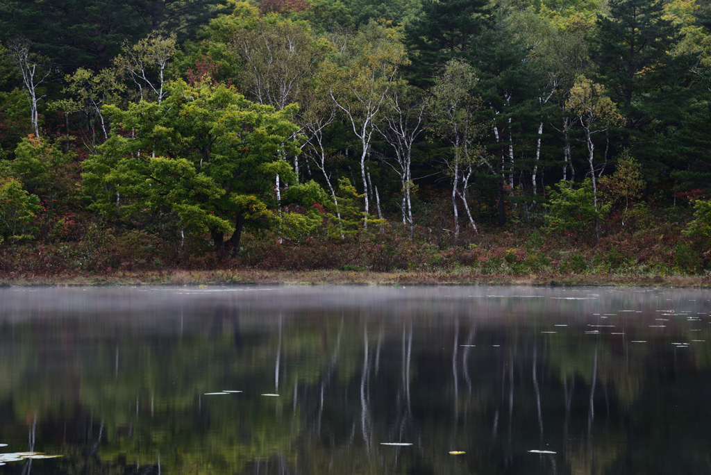 霧の境界