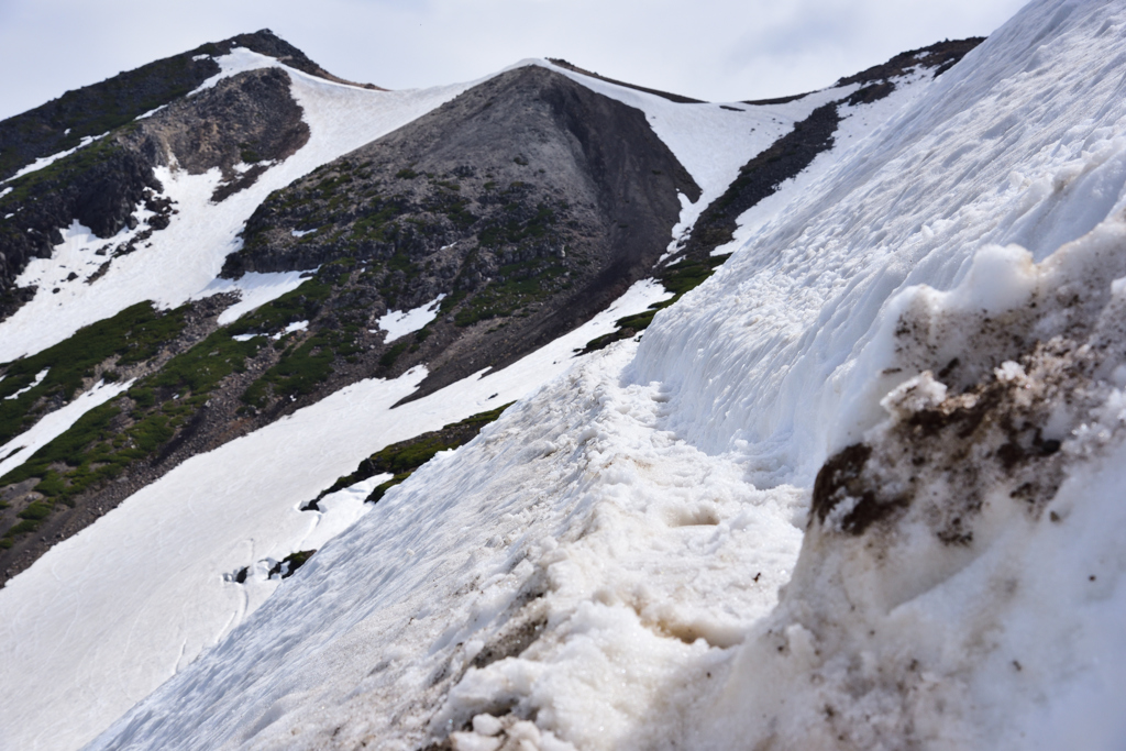雪の上を滑りたくて