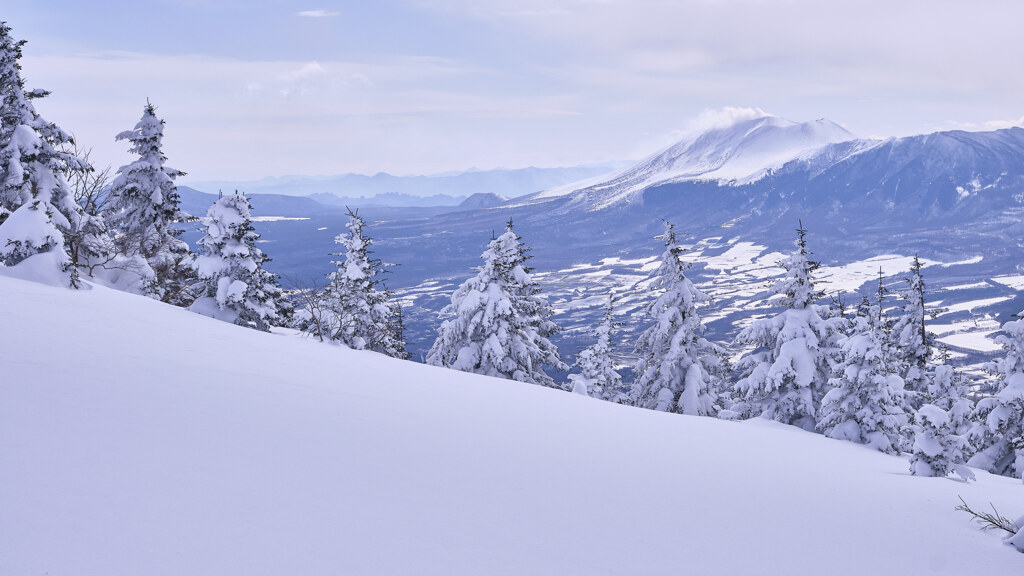 遠いような近いような