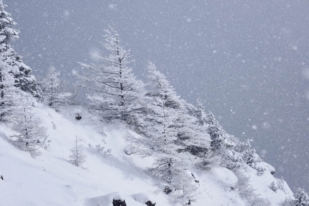 雪の舞う山