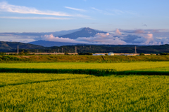 田園の向こう