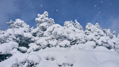 青空に映る雪