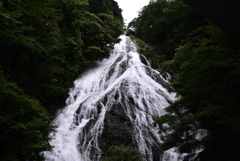 涼水