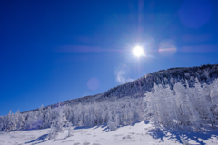 太陽と雪の眩しさ