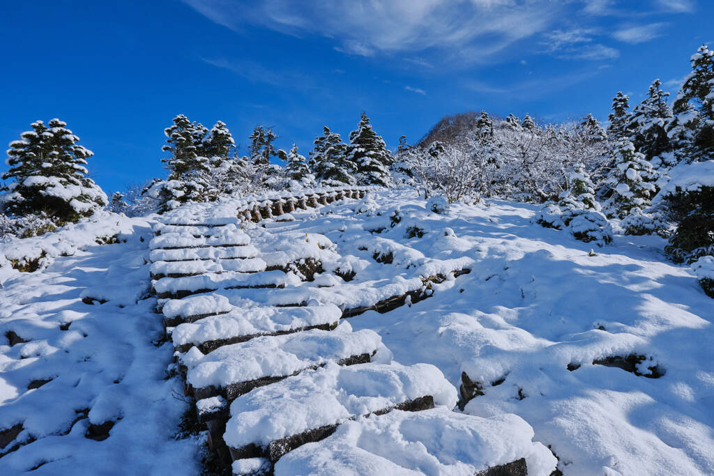 山頂手前