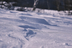 雪面きらり