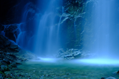Blue Frow