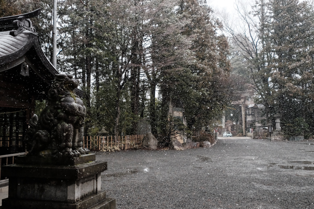 雪降る神域