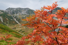 紅葉と立山その②