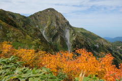 奥大日岳と紅葉