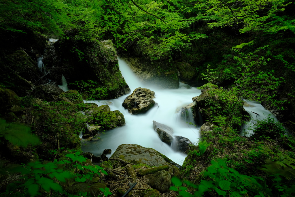 新緑と清流