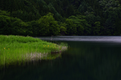 早朝の中綱湖
