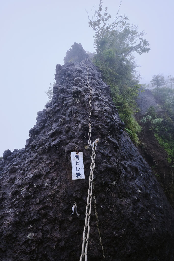 背ビレ岩