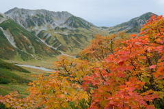 紅葉と立山その①