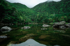 憩いの池