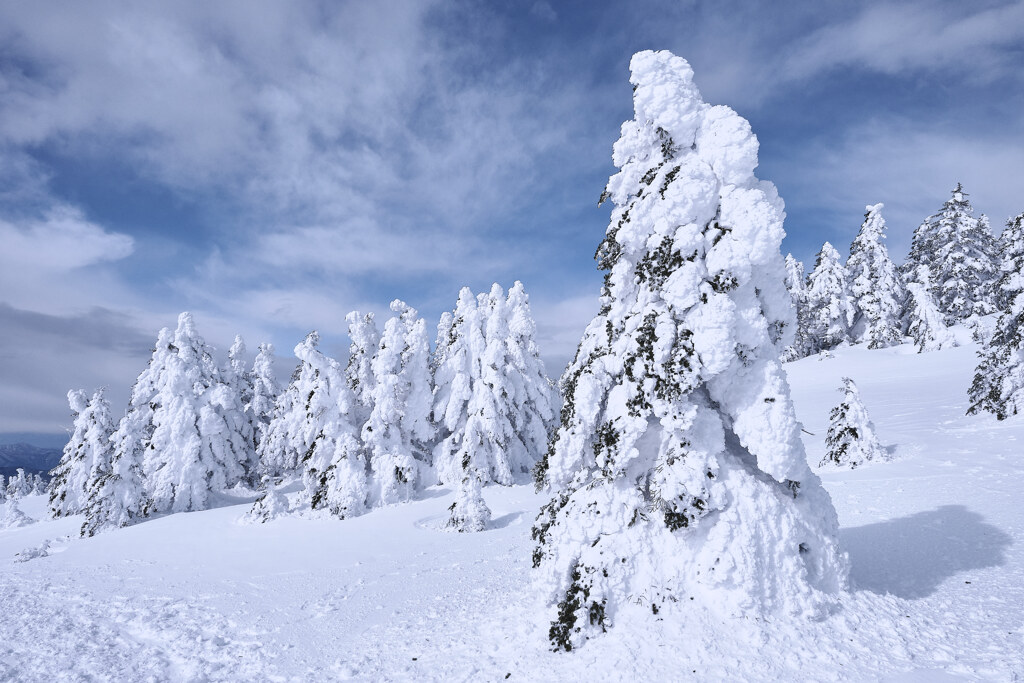 雪の巨人たち