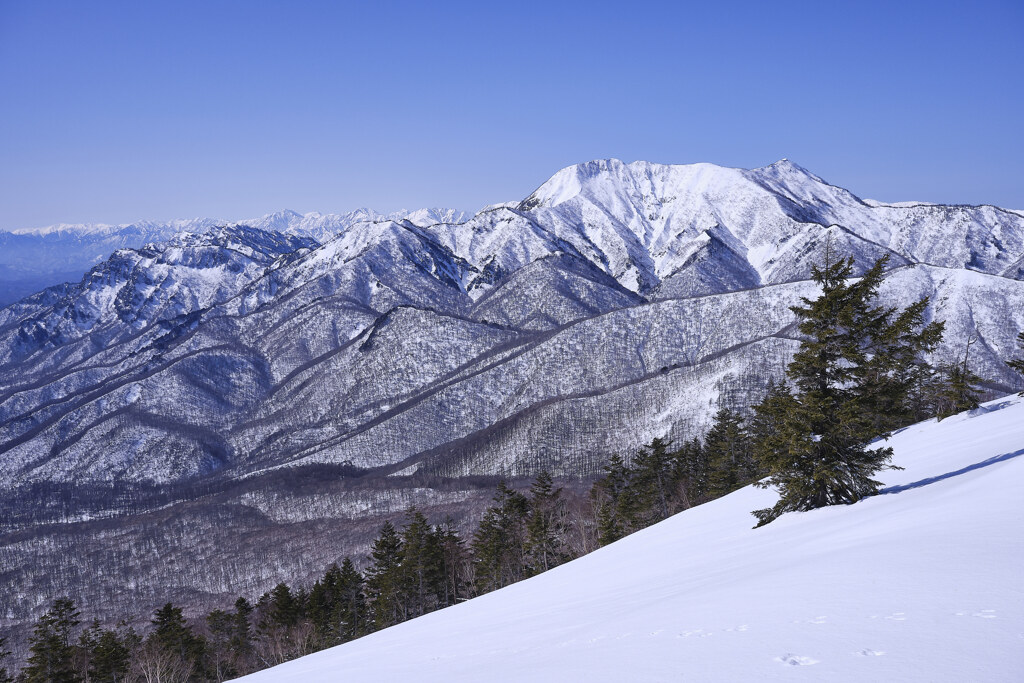 黒姫山に向かう尾根